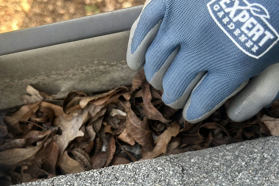 Gutter Cleaning Carrollton TX