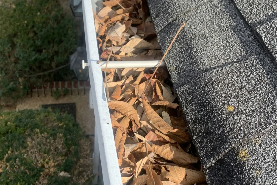 Gutter Cleaning Carrollton TX